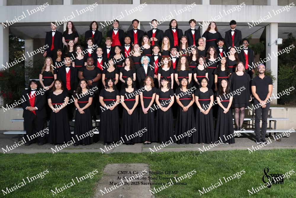 Musical Images